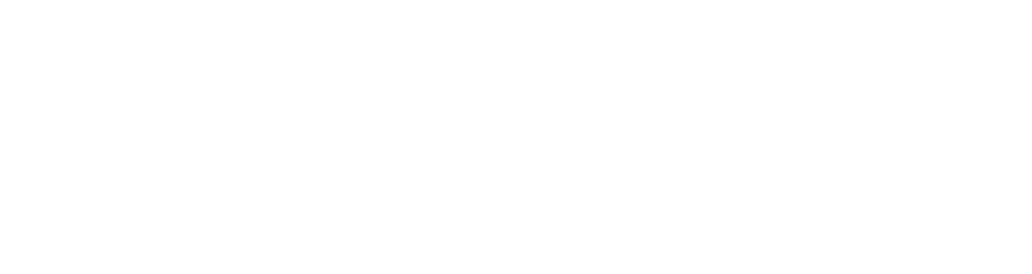 Fatal Bike