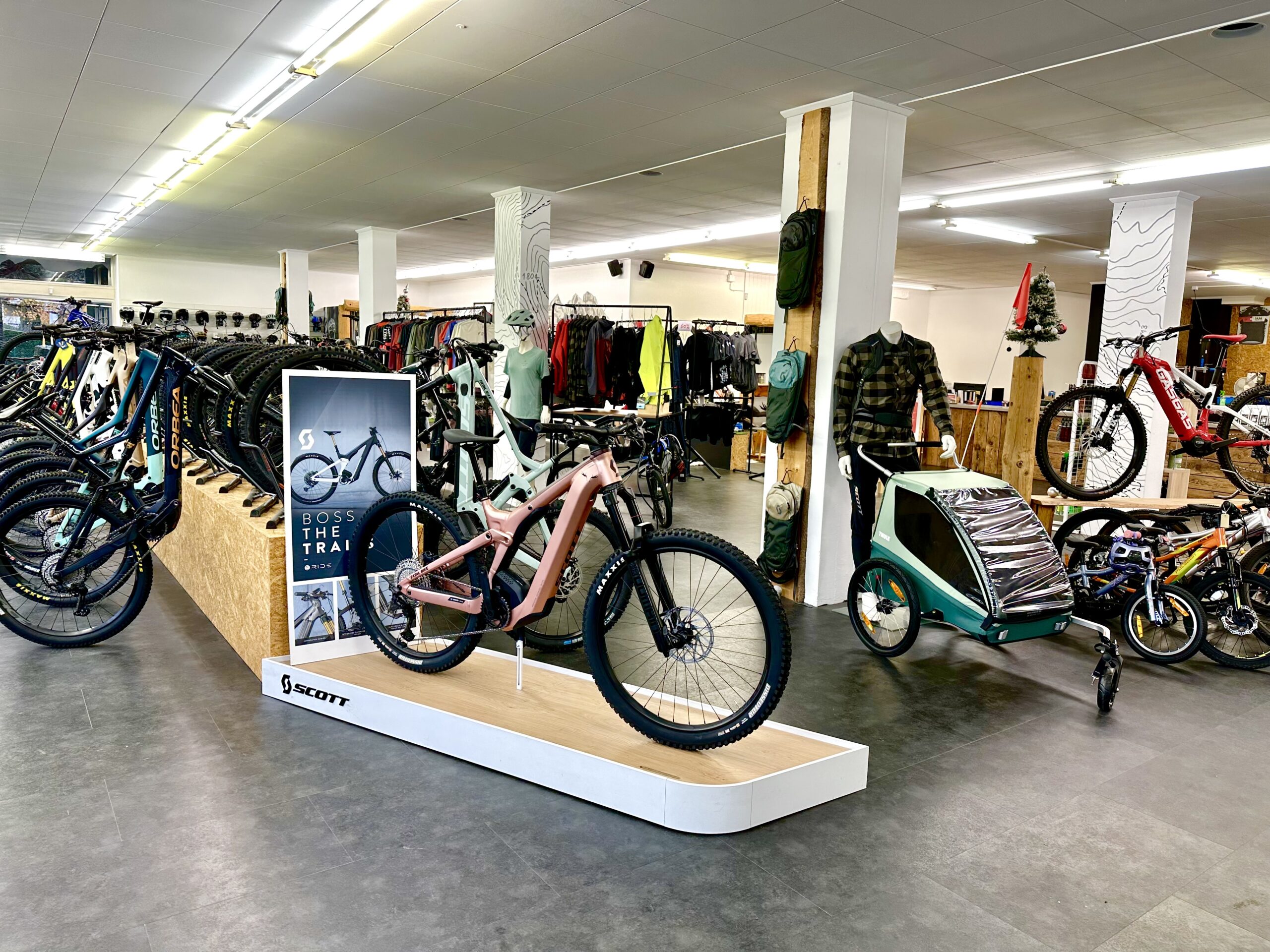 Intérieur du magasin Fatal Bike